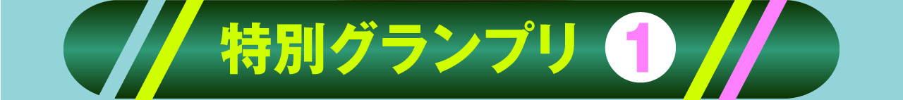 特別グランプリ1