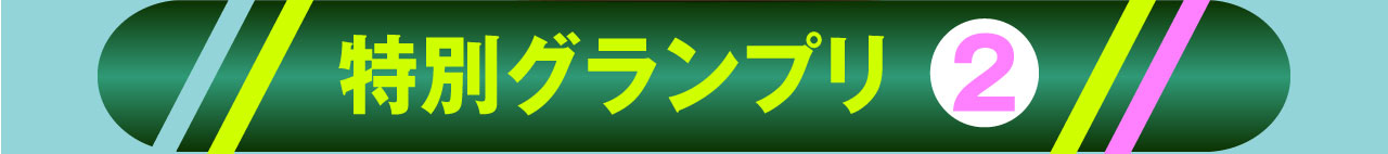 特別グランプリ2
